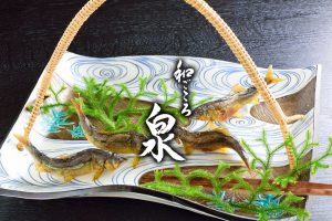 和ごころ泉 Wagokoro Izumi